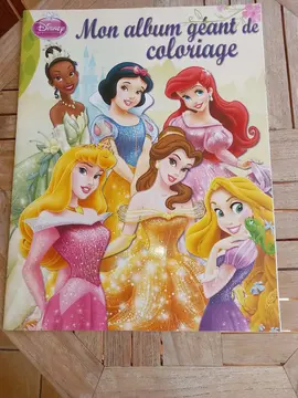 MAXI cahier coloriage 43cm X 55cm
