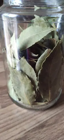 feuilles de laurier sauce