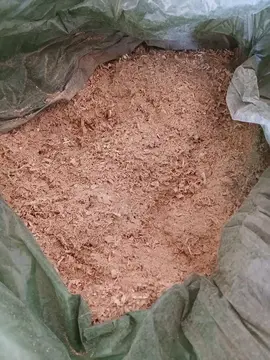 sciure de bois