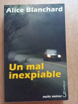 livre. Un mal inexpiable