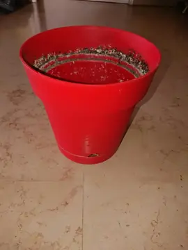 Pot à plantes