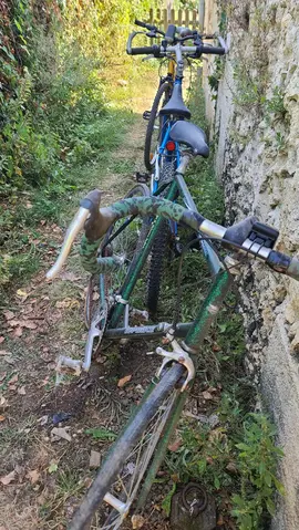 3 vélos adulte à restaurer