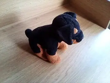 petite peluche chien