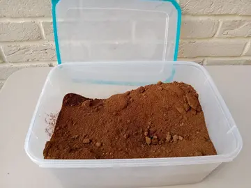Marc de café pour jardinage