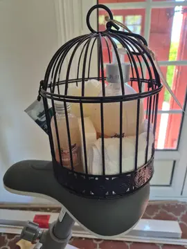 cage avec produits de douche