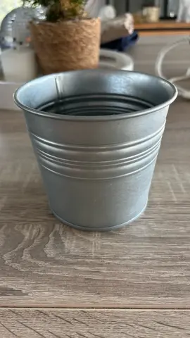 Petit pot de fleur