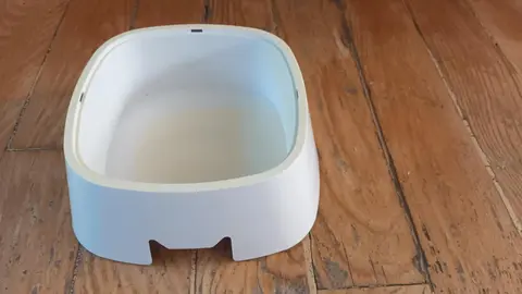 gamelle pour chien