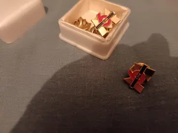Pin's M6