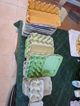 boîtes d'œufs