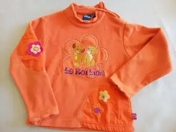 Pull polaire