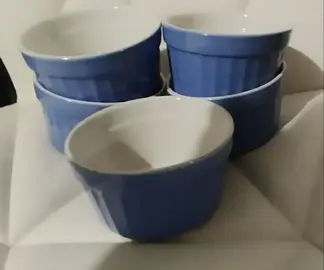 5 raviers porcelaine, ils passent au four, TBE