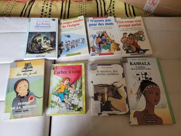 Lot de romans pour enfants