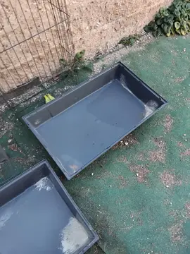 2 cages a lapins
