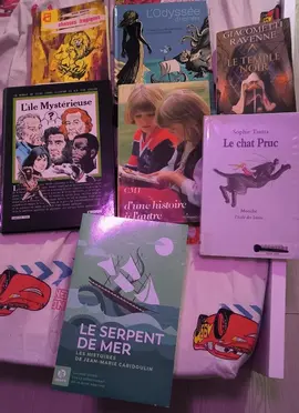 Lot livres