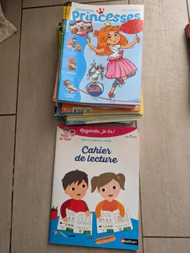 lot de magazines les petites princesses