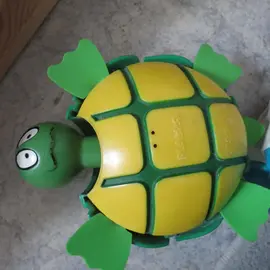 Super tortue incontournable