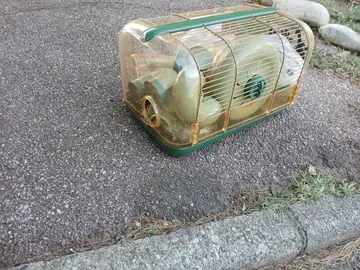 Cage a Hamster