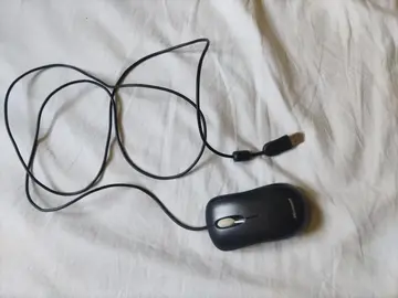 souris filaire pour ordinateur.