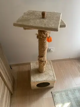 Arbre à chat abîmé 🐈