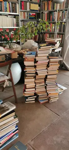 des centaines de livres en anglais