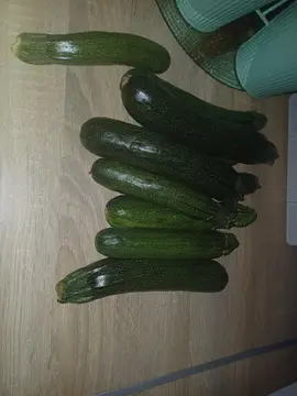 courgettes