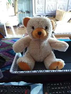 ours peluche