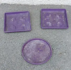 Coupelles en plastique