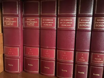 à donner 10 gros dictionnaire bordas