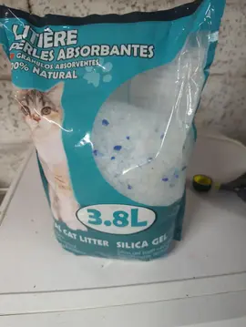litière chat