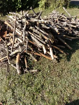Bois sec pour cheminée