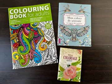 Lot de 3 livres à colorier pour adultes