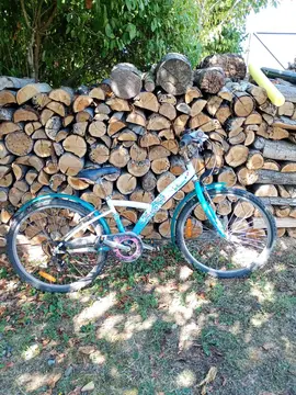 Vélo enfant (8 - 10 ans)
