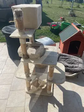 URGENT - Arbre a chat