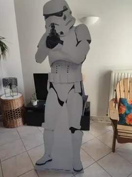 Déco carton star wars