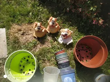 LOT pots rempotage et 3 chiens déco