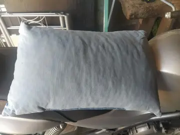2 coussins bleus