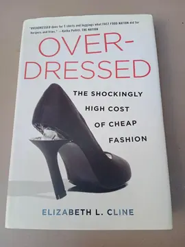 OVERDRESSED on cheap fashion