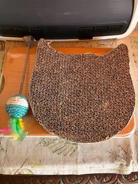 jouet et aliment pour chat