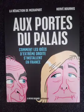Bande dessinée Aux portes du palais