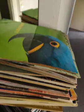 vinyl un peu plus de 20