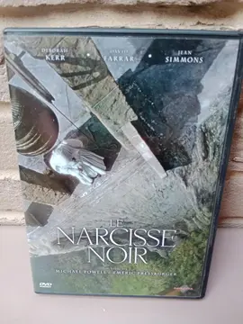 DVD Le narcisse noir