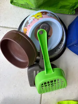 accessoires pour chats