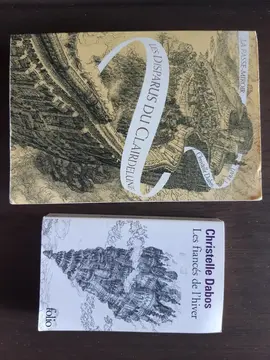 Série "La Passe Miroir" 2 premiers livres