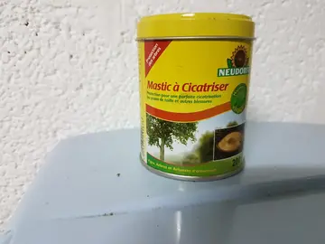 mastic pour arbre