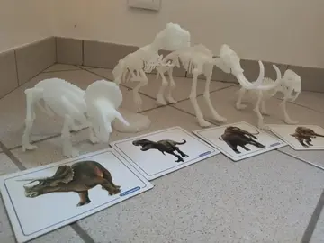 lot 4 squelette de dinosaures