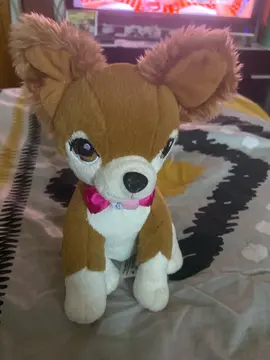 peluche chien