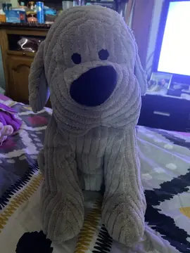 peluche chien