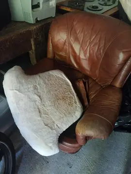 Fauteuil en cuir
