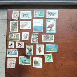 donne timbres collection annimaux 1lot 1envoie
