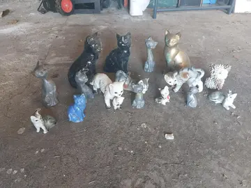 collection de chats